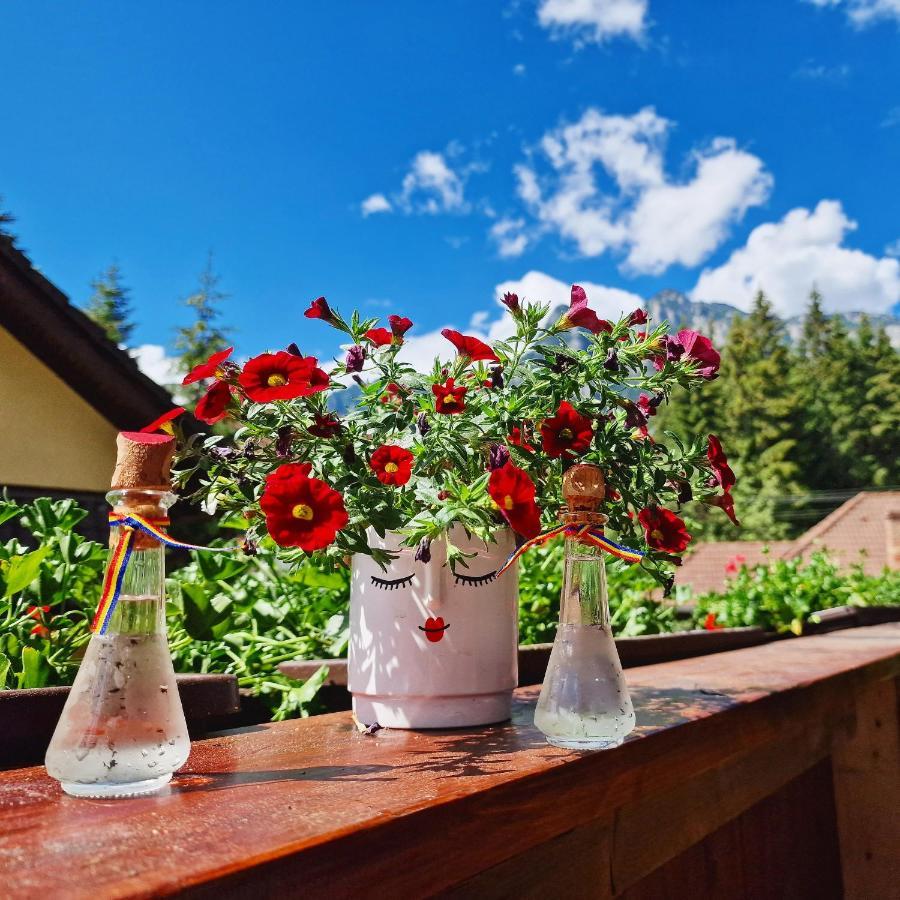 Amor Tirol Busteni (Adults Only) Exterior foto
