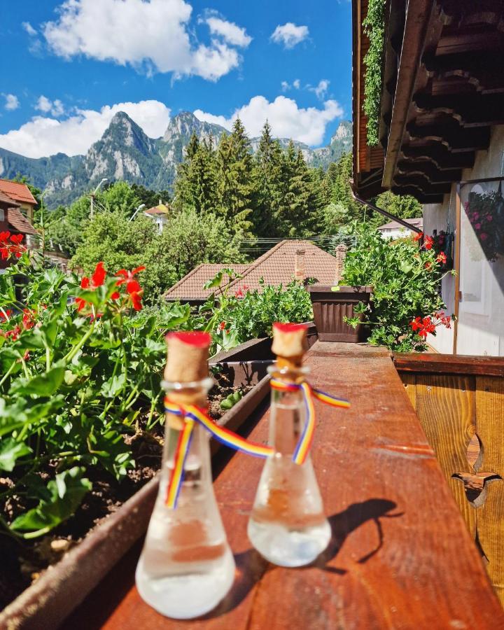 Amor Tirol Busteni (Adults Only) Exterior foto