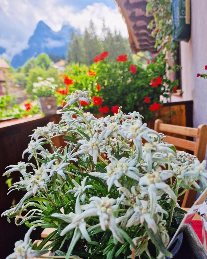 Amor Tirol Busteni (Adults Only) Exterior foto