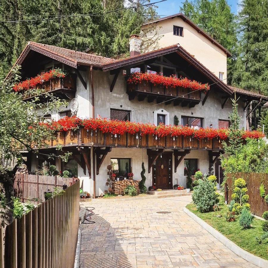 Amor Tirol Busteni (Adults Only) Exterior foto