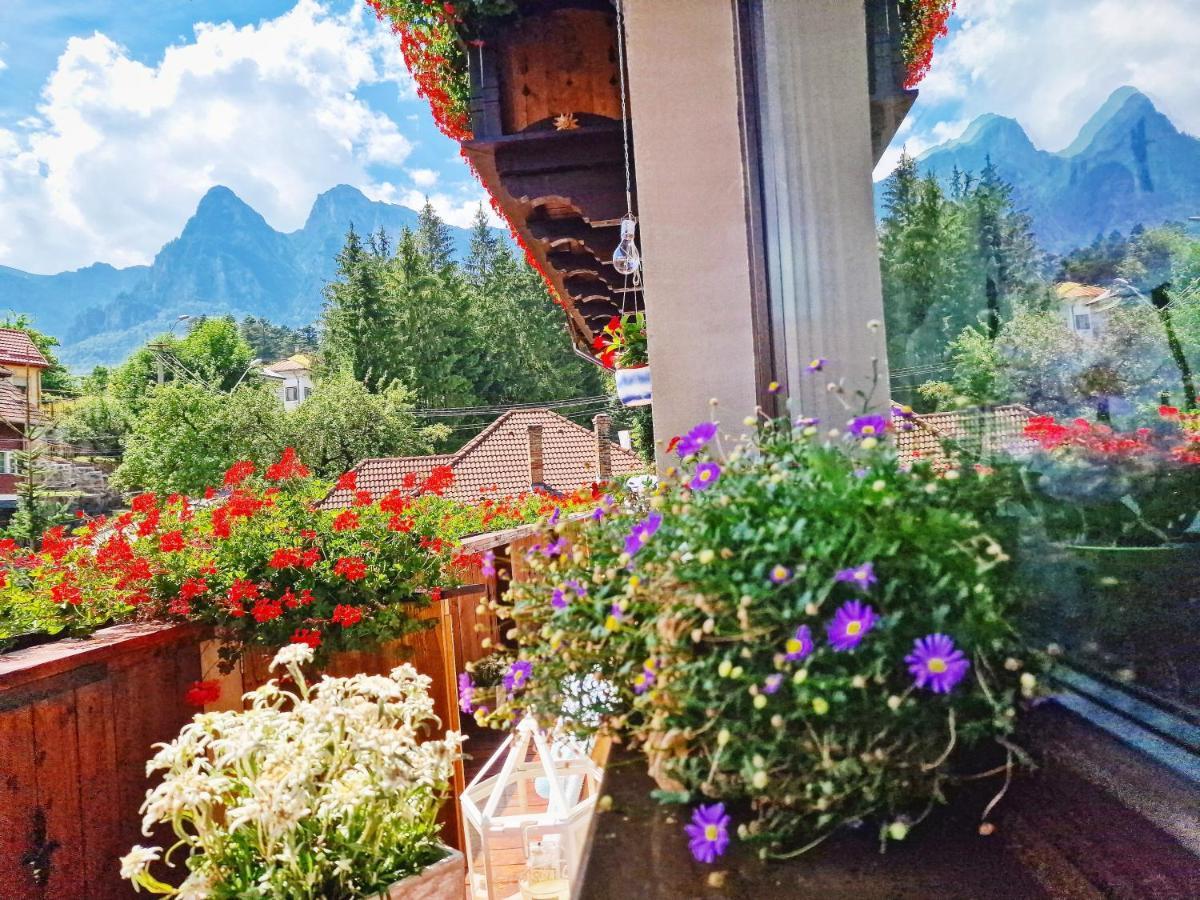 Amor Tirol Busteni (Adults Only) Exterior foto