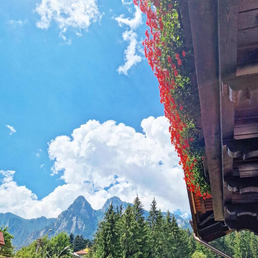 Amor Tirol Busteni (Adults Only) Exterior foto