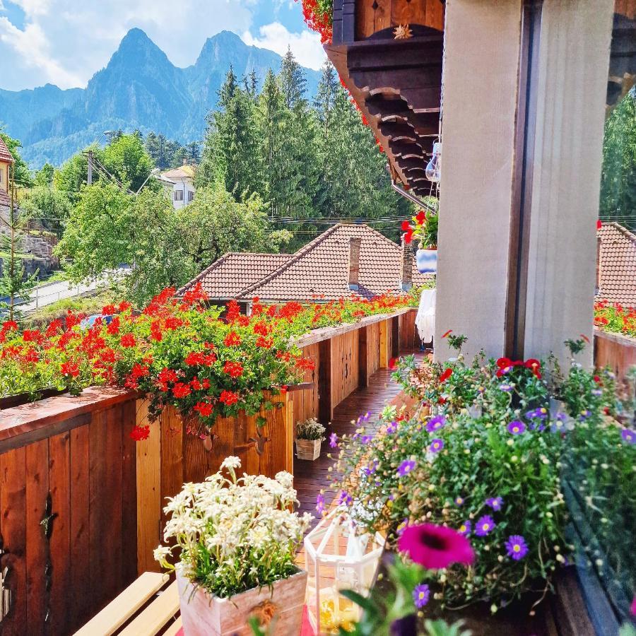 Amor Tirol Busteni (Adults Only) Exterior foto
