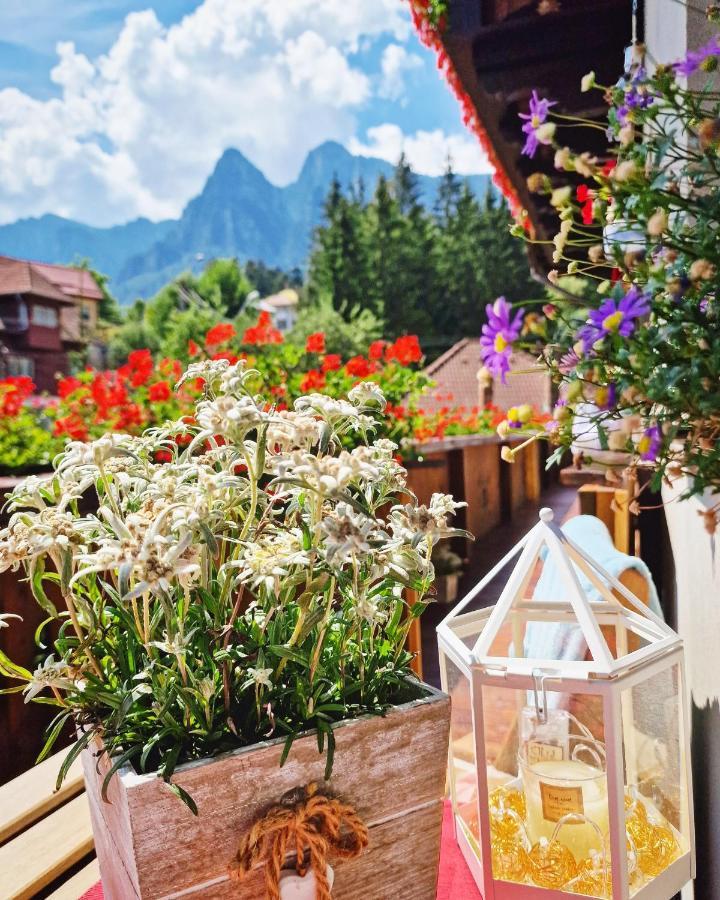 Amor Tirol Busteni (Adults Only) Exterior foto