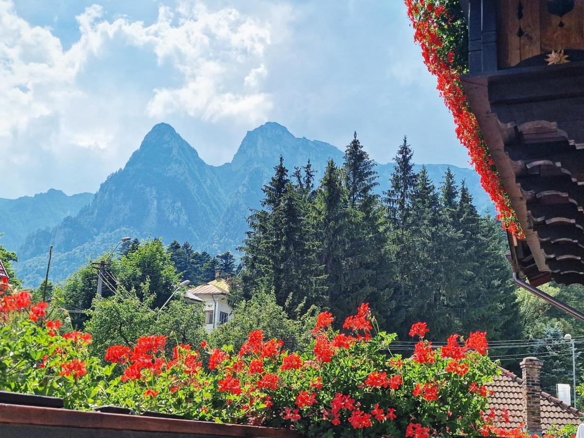 Amor Tirol Busteni (Adults Only) Exterior foto