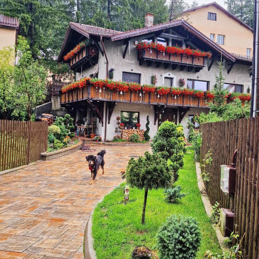 Amor Tirol Busteni (Adults Only) Exterior foto