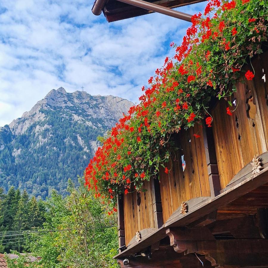 Amor Tirol Busteni (Adults Only) Exterior foto