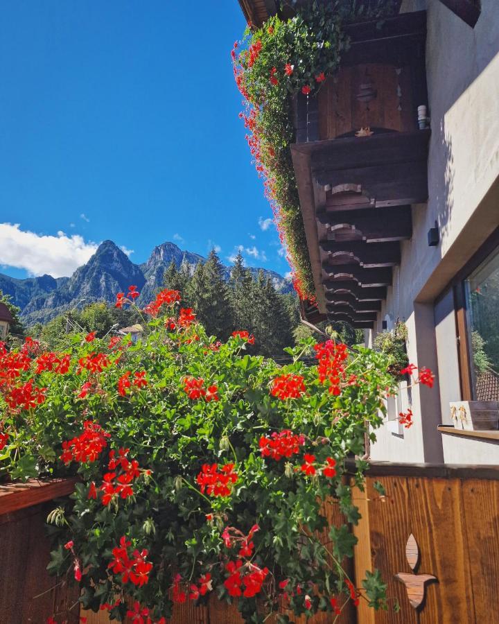 Amor Tirol Busteni (Adults Only) Exterior foto